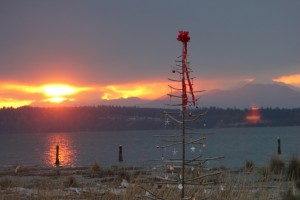 Dec 2013 012 (1024x683)