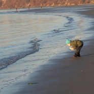 How many mistakes will you made today?