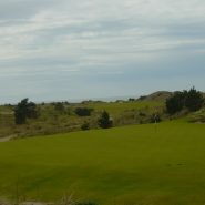 Putting on a links golf course
