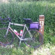 So just where are we?