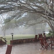 Do you have enough time.