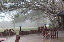 Do you have enough time.