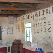 Education is far to important to leave to the legislators.