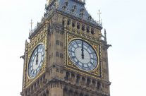 Hummingbirds are just like Congress.