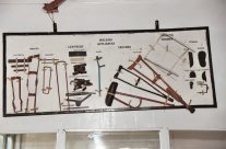 How many doctors do you have?