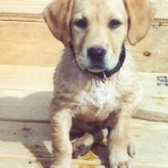 Picking unique names for book protagonist isn’t easy.