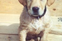 Picking unique names for book protagonist isn’t easy.