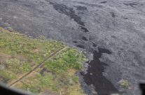 When a tragedy strikes we all want to help.