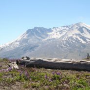 Close all the parks, but don’t take my free parking.