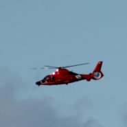 Vote for President of the United States Now!