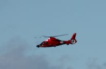 Vote for President of the United States Now!