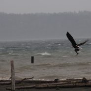 My least favorite month is over