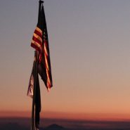 Congress, all of you are fired!