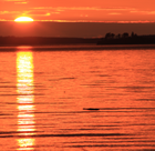 Because I’m the Taxman