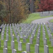 Can we just stop the fighting