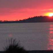 What secrets don’t you want told?