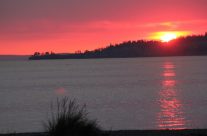 What secrets don’t you want told?